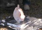 Gourmet Trash Can Turkey